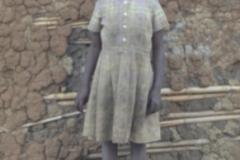 rosette_orig-e1522959652447