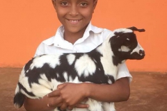 d87c78bc-b27f-45c6-854c-1c929f9cdb0a